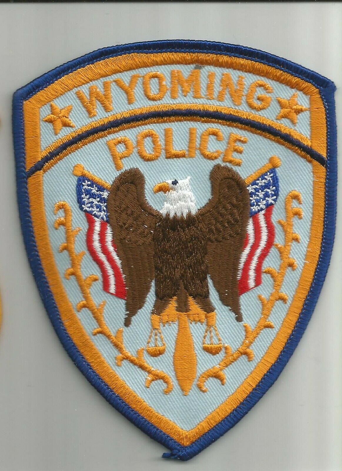 Wyoming Police, Michigan