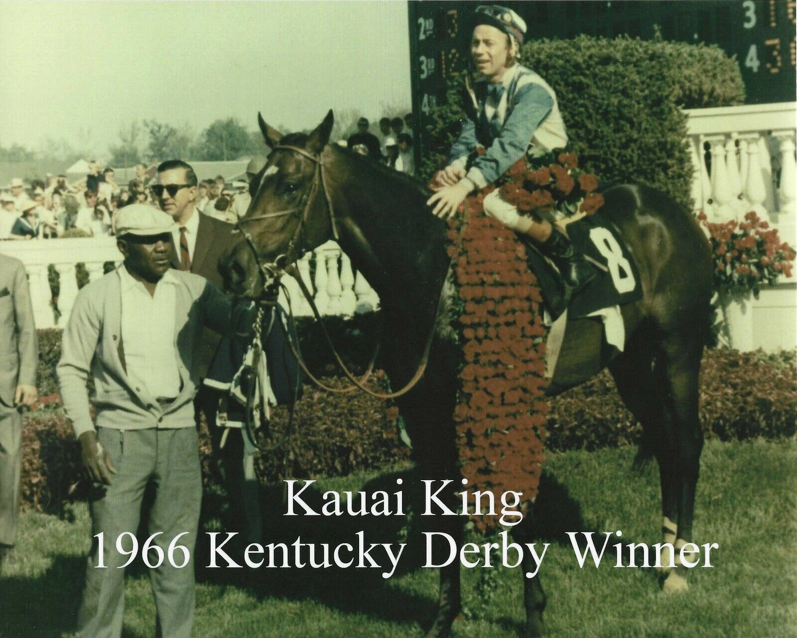 1966 - Kauai King In The Kentucky Derby Winners Circle - Color - #2 - 10" X 8"