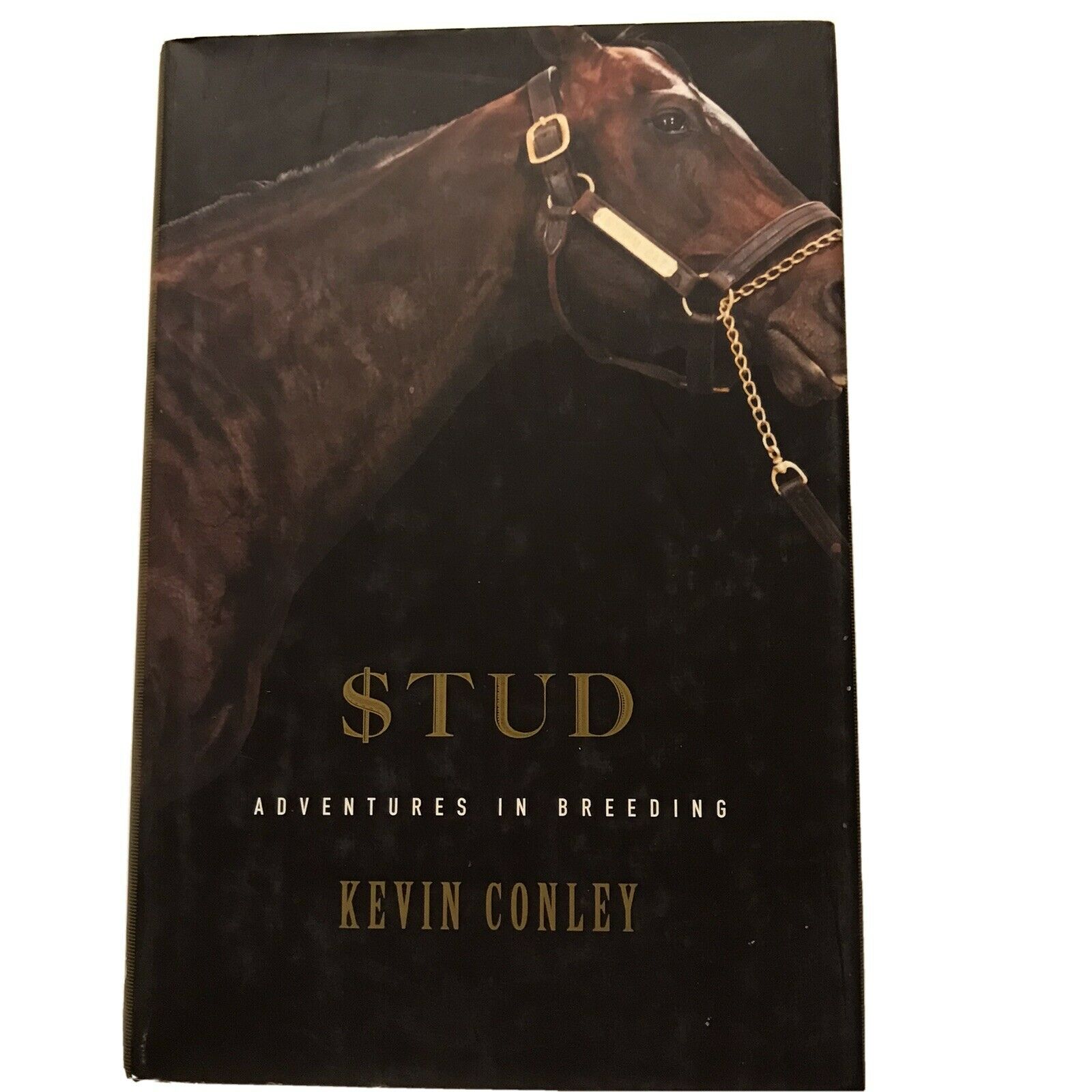 Stud Adventures In Breeding By Kevin Conley-storm Cat-coolmore-godolphin