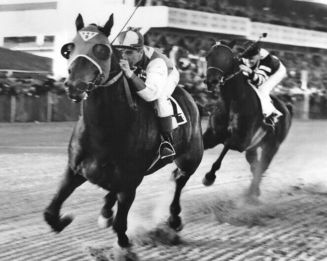 1938 Champion Racehorses Seabiscuit Vs War Admiral Glossy 8x10 Photo Poster