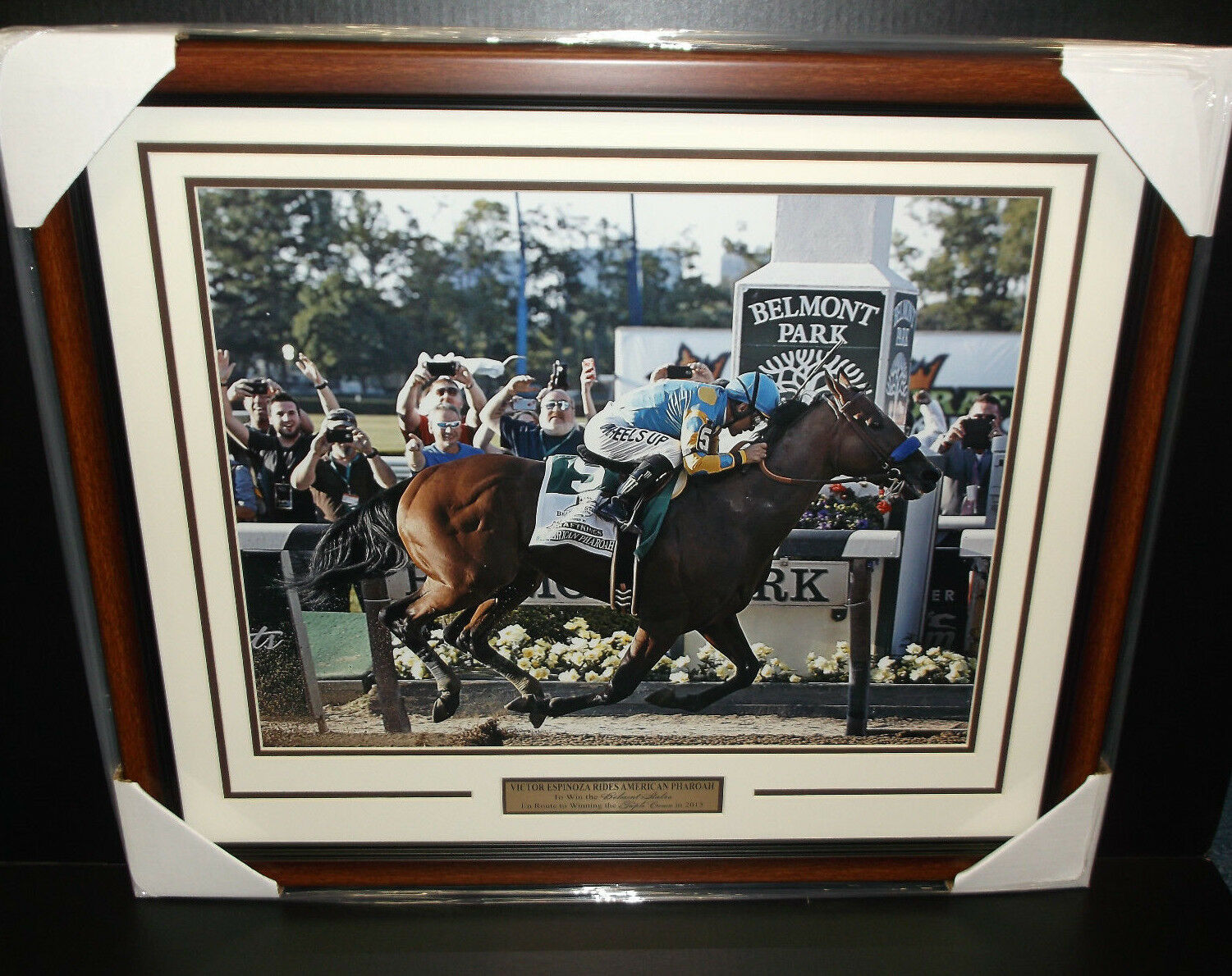 Belmont Stakes Triple Crown American Pharoah Victor Espinoza Framed 16x20 Photo